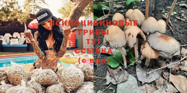 PSILOCYBIN Верхнеуральск