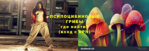 PSILOCYBIN Верхнеуральск